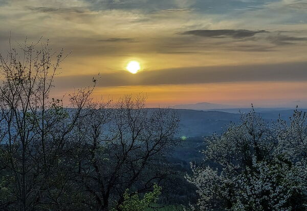 Casa Bosco D'arte Holiday Home , Greve In Chianti, Ac, Wifi: Autumn, Garden, Spring, Summer