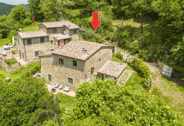 Casa Bosco D'arte Holiday Home , Greve In Chianti, Ac, Wifi: Autumn, Building Exterior, Garden, Spring, Summer