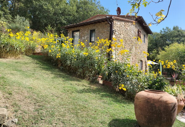 Casa Bosco D'arte Holiday Home , Greve In Chianti, Ac, Wifi: Autumn, Building Exterior, Spring, Summer