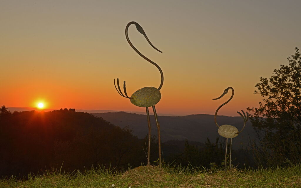 Casa Bosco D'arte Holiday Home , Greve In Chianti, Ac, Wifi: Autunno, Estate, Giardino, Primavera