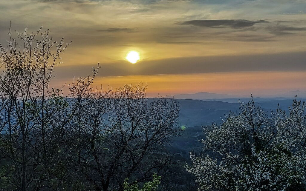 Casa Bosco D'arte Holiday Home , Greve In Chianti, Ac, Wifi: Autunno, Estate, Giardino, Primavera