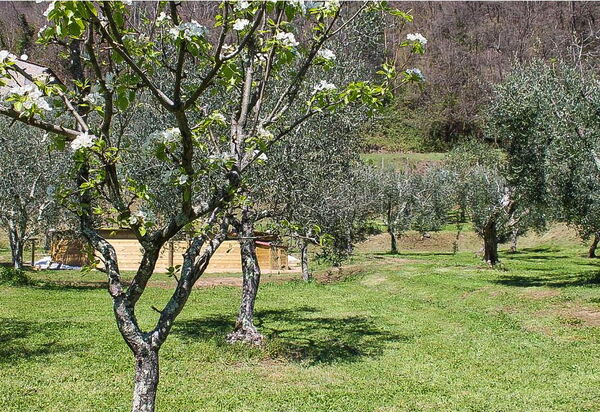 Shaleo, Private Pool, Wifi, Ac, Marliana, Toscana: Autunno, Estate, Giardino, Primavera