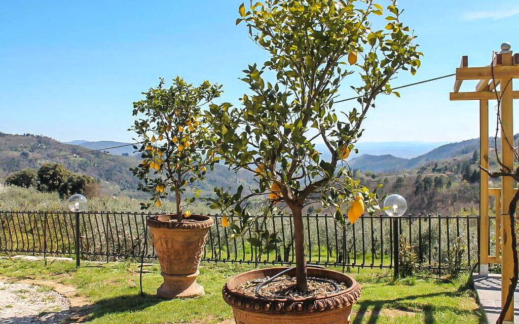 Shaleo, Private Pool, Wifi, Ac, Marliana, Toscana: Autunno, Estate, Giardino, Primavera