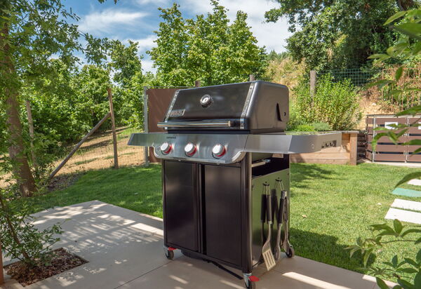 Casa Gallo - Roero - Langhe, Piemonte: Autunno, Estate, Giardino, Primavera