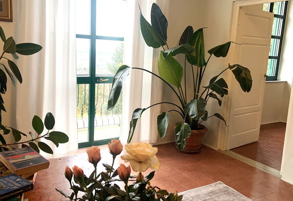 Massarosa Front Lake, The Gargoyles: Autunno, Dettagli della stanza, Estate, Primavera