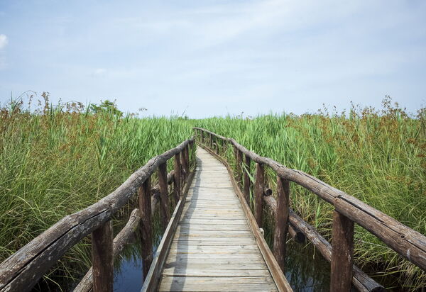 Massarosa Front Lake, The Gargoyles: Attività, Autunno, Estate, Primavera