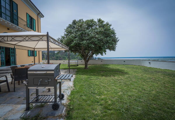 Massarosa Front Lake, The Gargoyles: Autunno, Estate, Giardino, Primavera