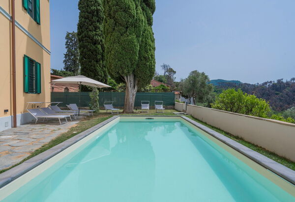 Massarosa Front Lake, The Gargoyles: Autunno, Caratteristiche, Estate, Esterni, Piscina, Primavera