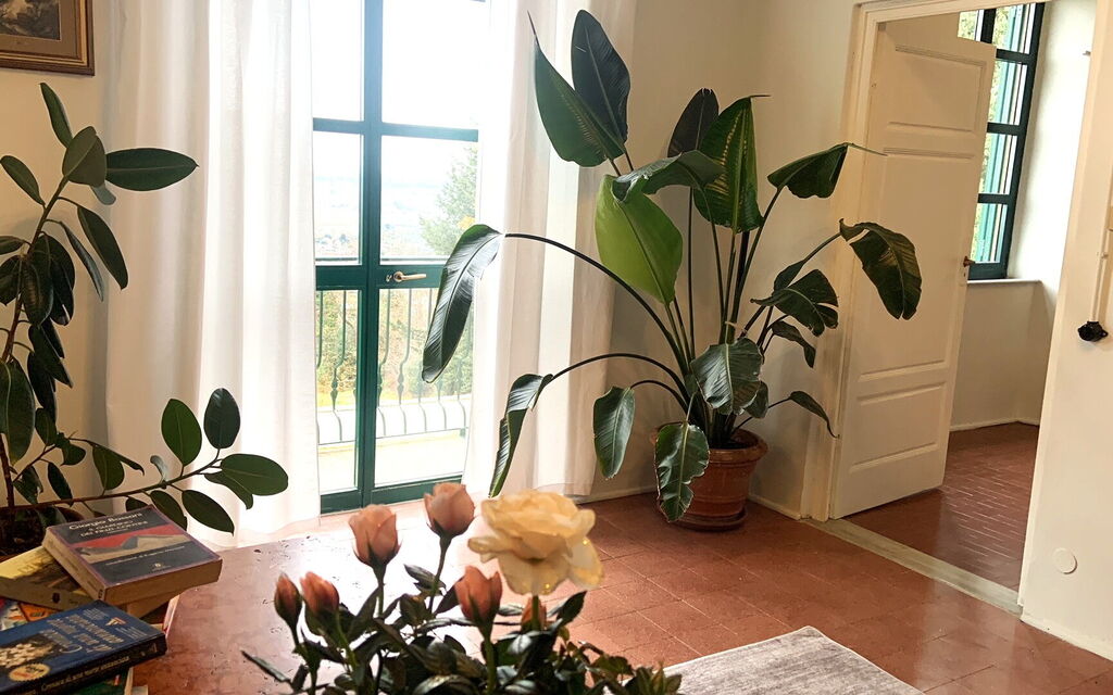 Massarosa Front Lake, The Gargoyles: Autunno, Dettagli della stanza, Estate, Primavera