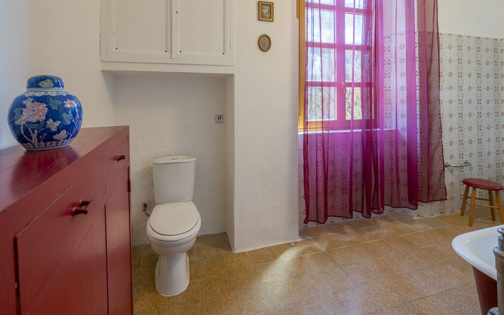Massarosa Front Lake, The Gargoyles: Autunno, Bagno, Estate, Primavera