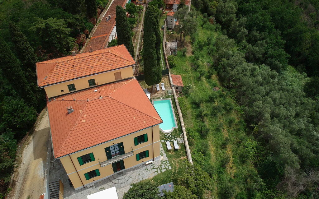 Massarosa Front Lake, The Gargoyles: Autunno, Estate, Esterni, Primavera