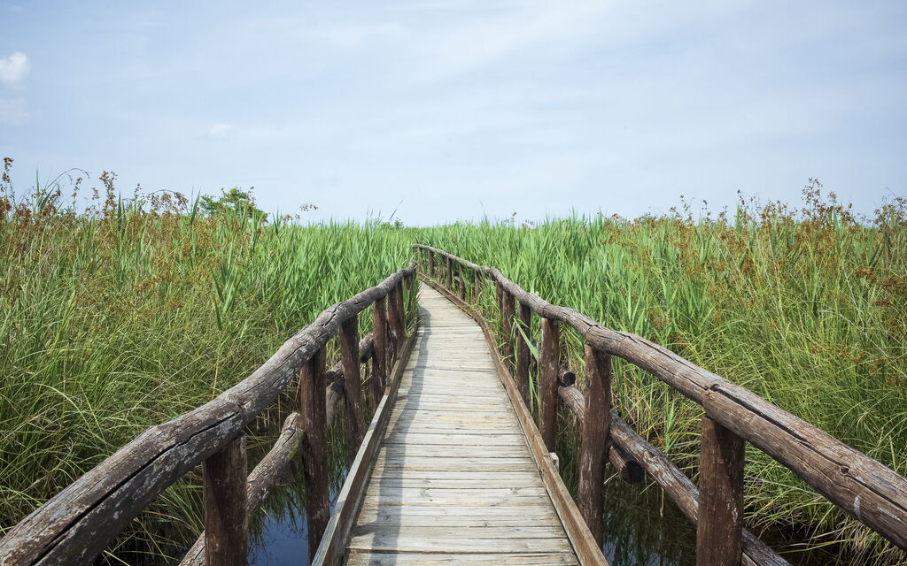 Massarosa Front Lake, The Gargoyles: Attività, Autunno, Estate, Primavera