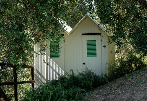 Luxury Green Marignana Villa, Versilia, Pool, Ac, Sauna: Autunno, Estate, Esterni, Primavera