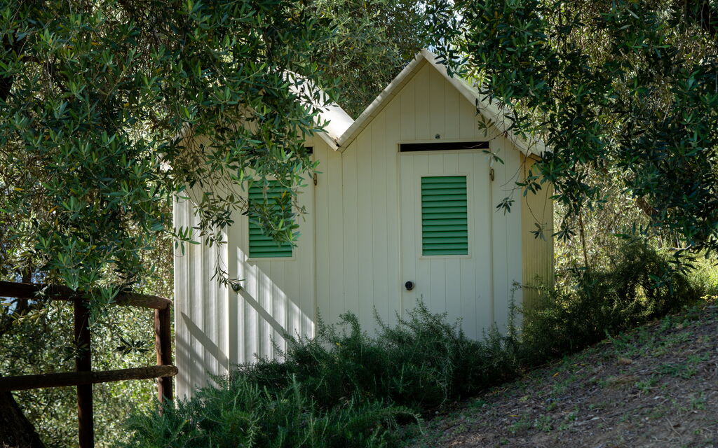 Luxury Green Marignana Villa, Versilia, Pool, Ac, Sauna: Autumn, Building Exterior, Spring, Summer