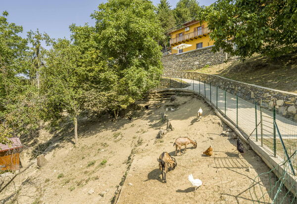 Casa Aurora - Recco, Liguria: Autunno, Estate, Esterni, Primavera