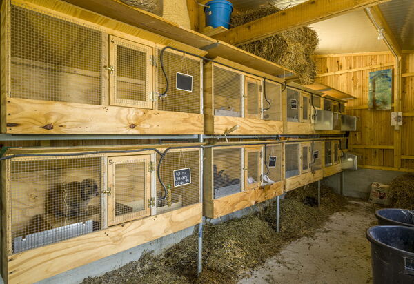 Casa Aurora - Recco, Liguria: Autunno, Estate, Esterni, Primavera