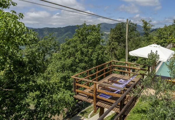 Casa Aurora - Recco, Liguria: Autunno, Estate, Giardino, Primavera