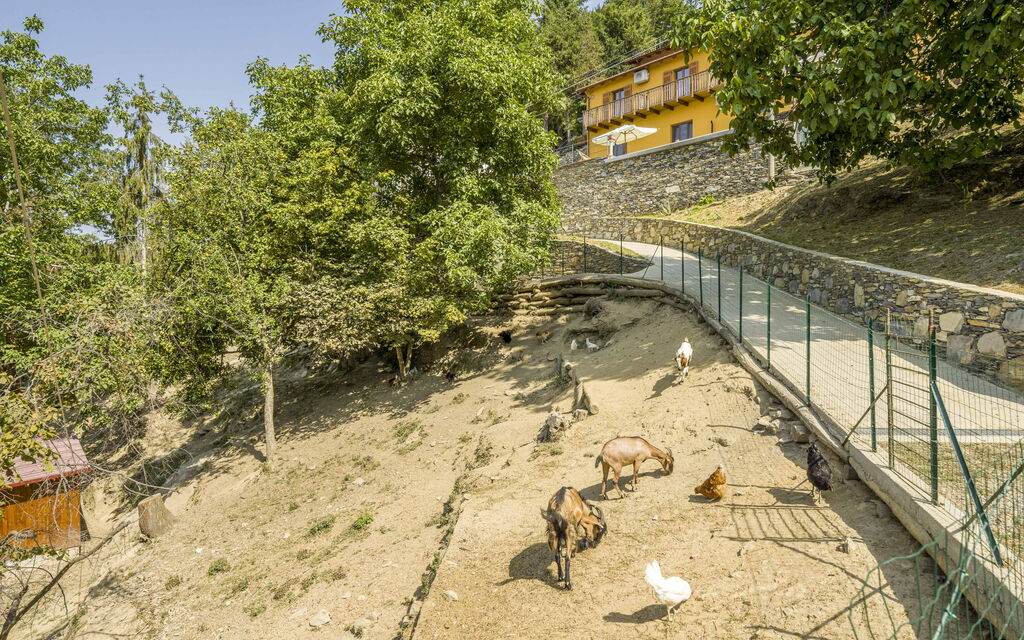 Casa Aurora - Recco, Liguria: Autunno, Estate, Esterni, Primavera
