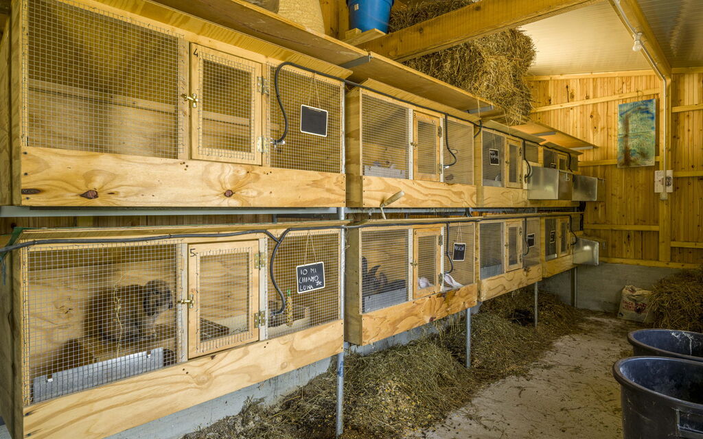 Casa Aurora - Recco, Liguria: Autunno, Estate, Esterni, Primavera