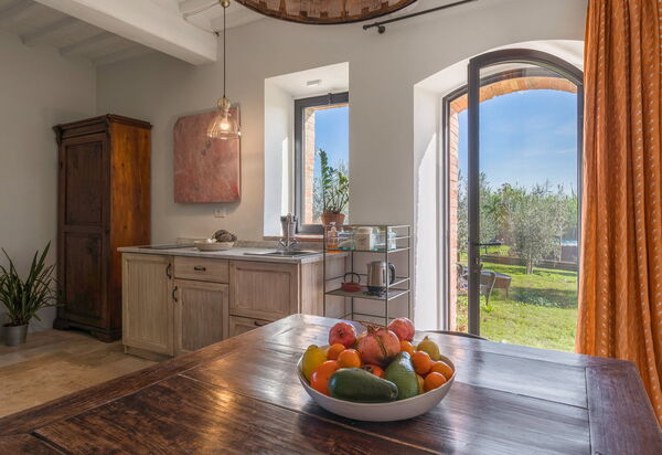 Lina - Podere Ribatti - Casole D'elsa, Toscana