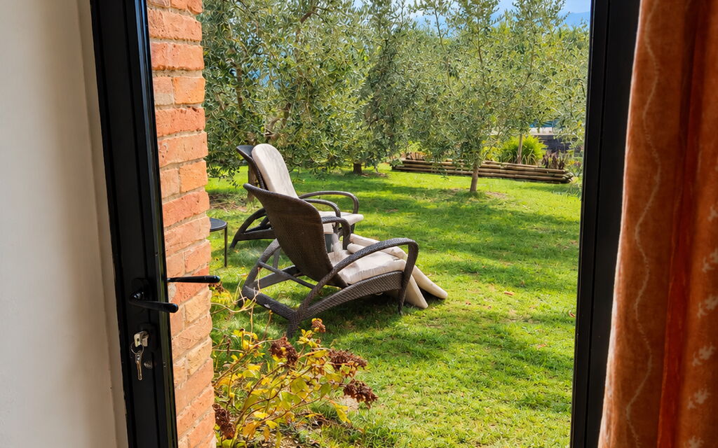 Lina - Podere Ribatti - Casole D'elsa, Toscana: Autumn, Garden, Spring, Summer