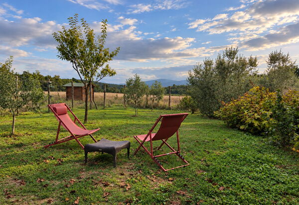 Alice - Podere Ribatti - Casole D'elsa, Toscana: Autunno, Estate, Giardino, Primavera
