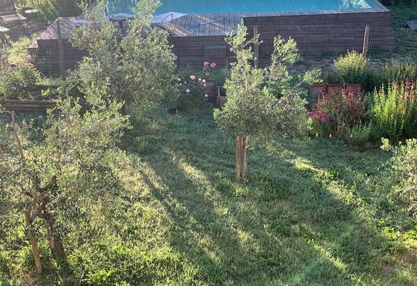 Alice - Podere Ribatti - Casole D'elsa, Toscana: Autunno, Estate, Piscina, Primavera