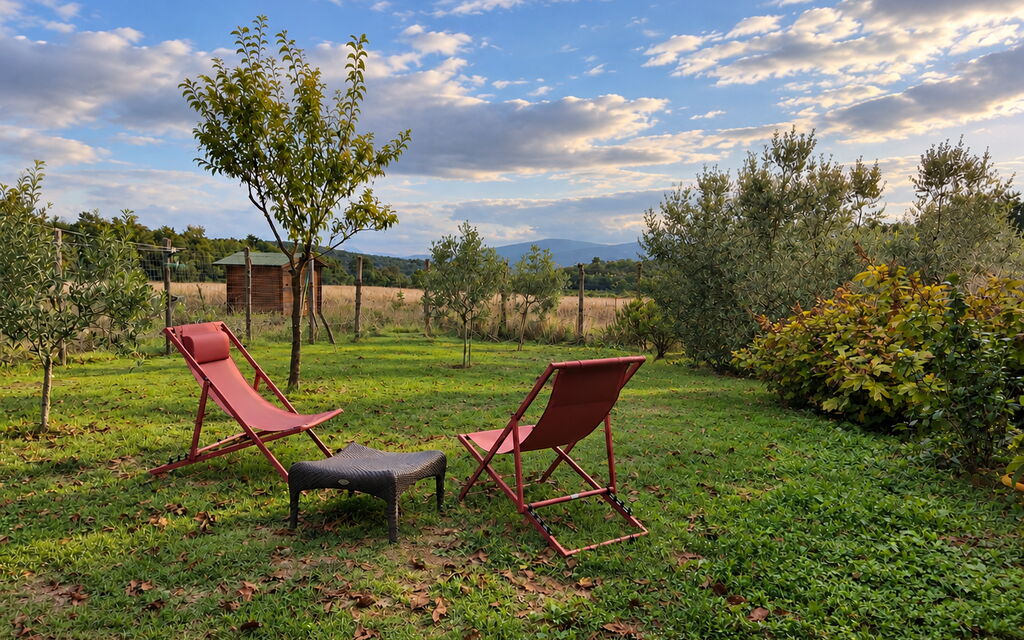Alice - Podere Ribatti - Casole D'elsa, Toscana: Autunno, Estate, Giardino, Primavera