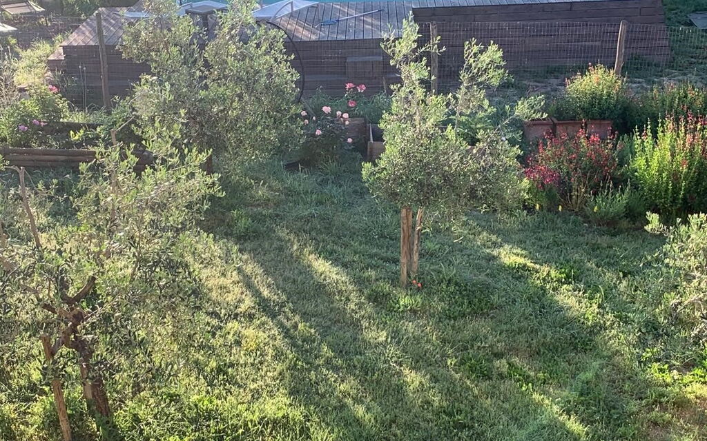 Alice - Podere Ribatti - Casole D'elsa, Toscana: Autunno, Estate, Piscina, Primavera