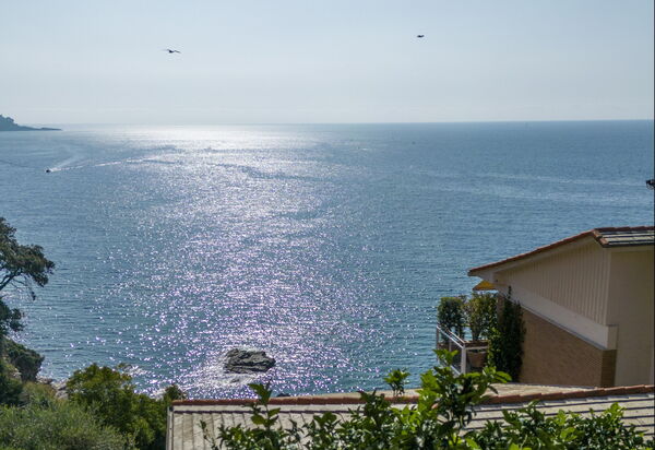 A Due Passi da Camogli, Seaview with Terrace, Wifi: Autunno, Estate, Primavera, Vista Panoramica