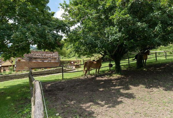 Locanda Di Alberi: Animals, Building Exterior, Outdoor
