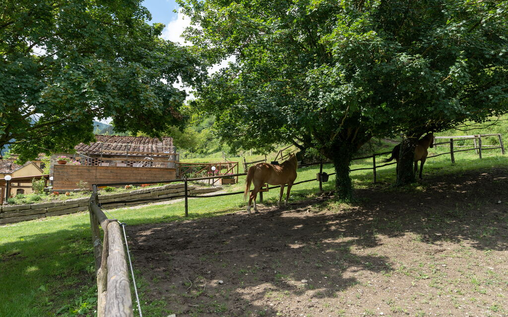 Locanda Di Alberi: Animals, Building Exterior, Outdoor