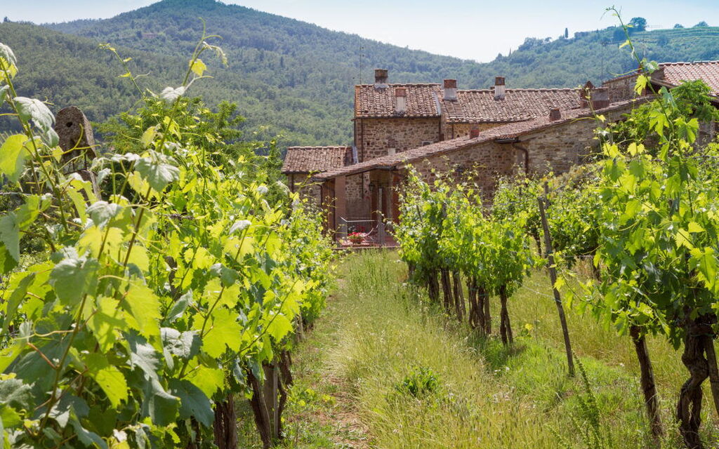 Le Masse - Greve In Chianti, Toscana: Autunno, Estate, Esterni, Primavera