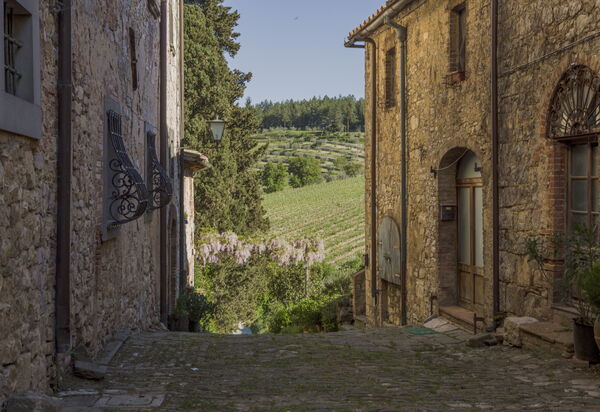 Il Nespolo Charming Apartment Fonterutoli - Siena, Toscana: Autumn, Outdoor, Spring, Summer