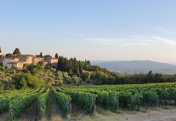 Il Nespolo Charming Apartment Fonterutoli - Siena, Toscana: Autumn, Outdoor, Spring, Summer