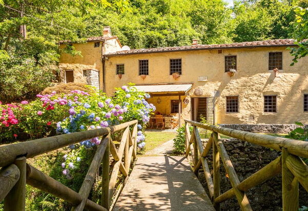 Molin Barletta, Private Pool, Nature - Marliana, Toscana: Autunno, Estate, Giardino, Primavera