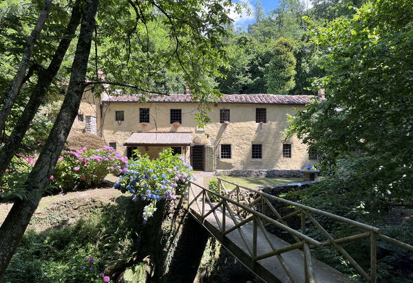 Molin Barletta, Private Pool, Nature - Marliana, Toscana: Autunno, Estate, Esterni, Primavera