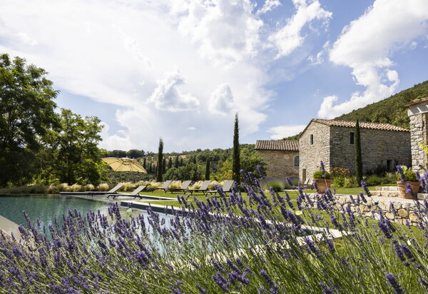 Villa Penna - Tenuta Di Murlo, Umbria: Autunno, Estate, Esterni, Piscina, Primavera
