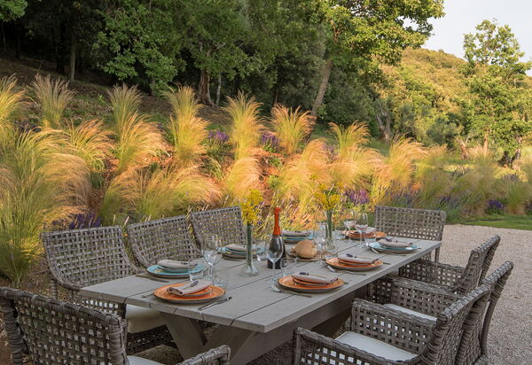 Villa Penna - Tenuta Di Murlo, Umbria: Autunno, Estate, Esterni, Primavera