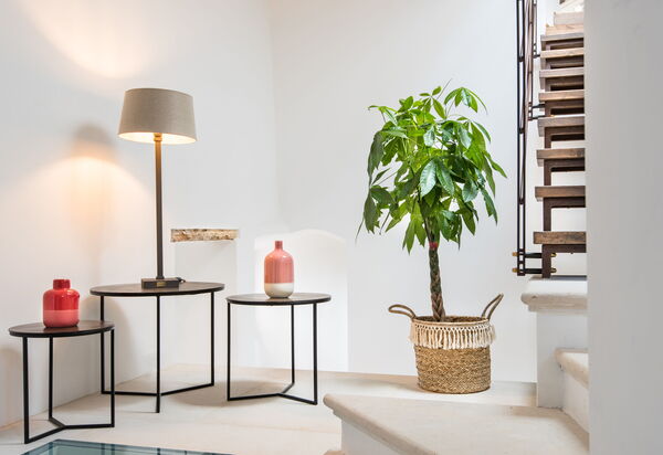 Villa Castiglione Ugolino - Tenuta Di Murlo, Umbria: Autunno, Estate, Primavera