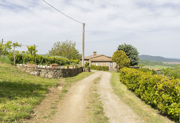Podere Marcigliana - Radicondoli - Siena, Toscana: Autunno, Estate, Giardino, Primavera, Vista Panoramica