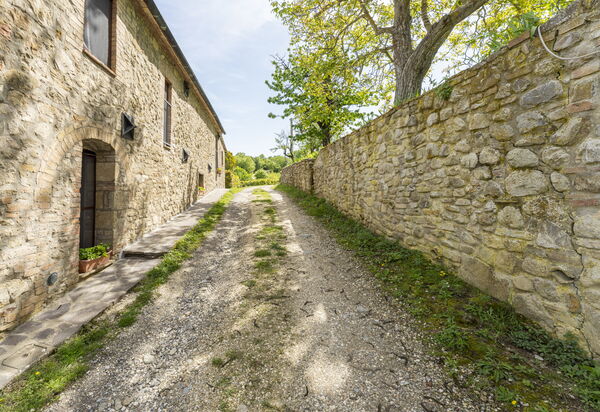 Podere Marcigliana - Radicondoli - Siena, Toscana: Autunno, Estate, Giardino, Primavera, Vista Panoramica