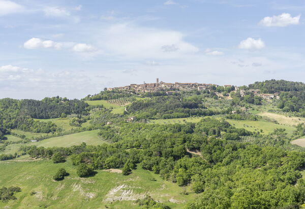Podere Marcigliana - Radicondoli - Siena, Toscana: Autunno, Estate, Giardino, Primavera, Vista Panoramica