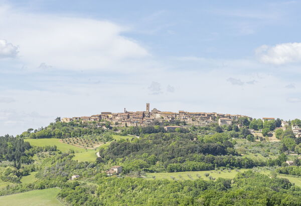 Podere Marcigliana - Radicondoli - Siena, Toscana: Autunno, Estate, Giardino, Primavera, Vista Panoramica