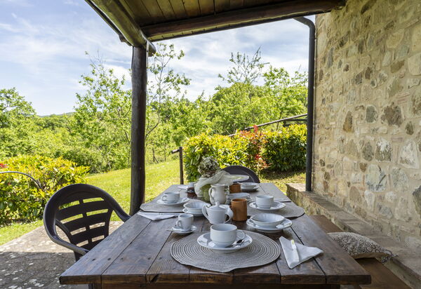 Podere Marcigliana - Radicondoli - Siena, Toscana: Autunno, Estate, Giardino, Primavera