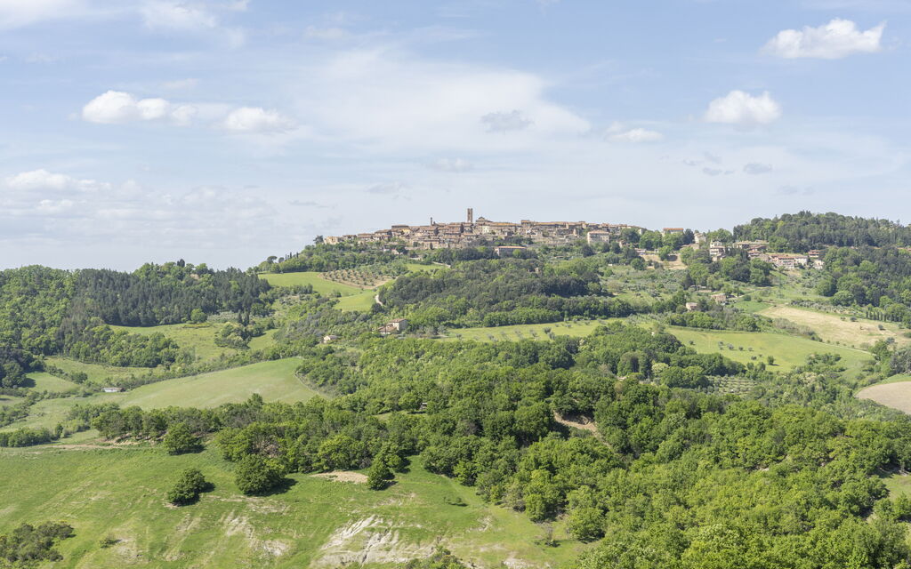 Podere Marcigliana - Radicondoli - Siena, Toscana: Autumn, Garden, Scenic View, Spring, Summer