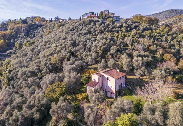 La Casa Dei Limoni, Camaiore, Pet Friendly, Wifi: Autunno, Estate, Esterni, Primavera