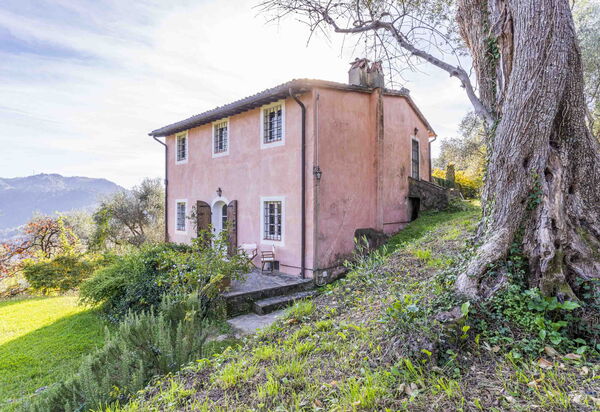 La Casa Dei Limoni, Camaiore, Pet Friendly, Wifi: Autunno, Estate, Esterni, Primavera