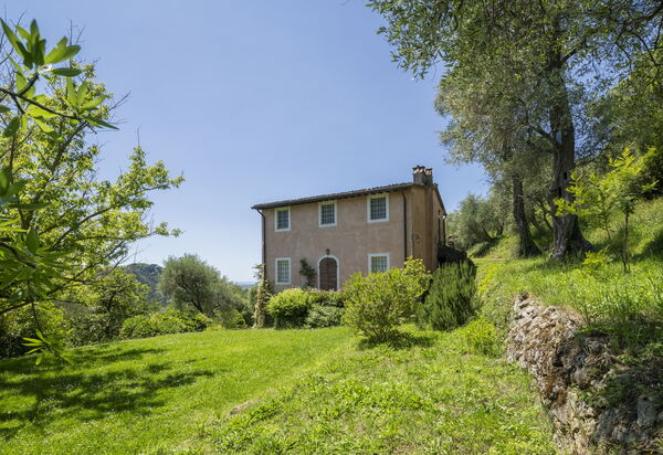 La Casa Dei Limoni, Camaiore, Pet Friendly, Wifi: Autumn, Building Exterior, Spring, Summer