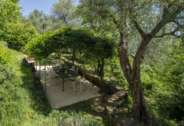 La Casa Dei Limoni, Camaiore, Pet Friendly, Wifi: Autumn, Building Exterior, Spring, Summer